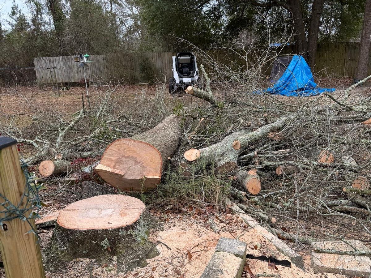 El Costeño Tree Service LLC